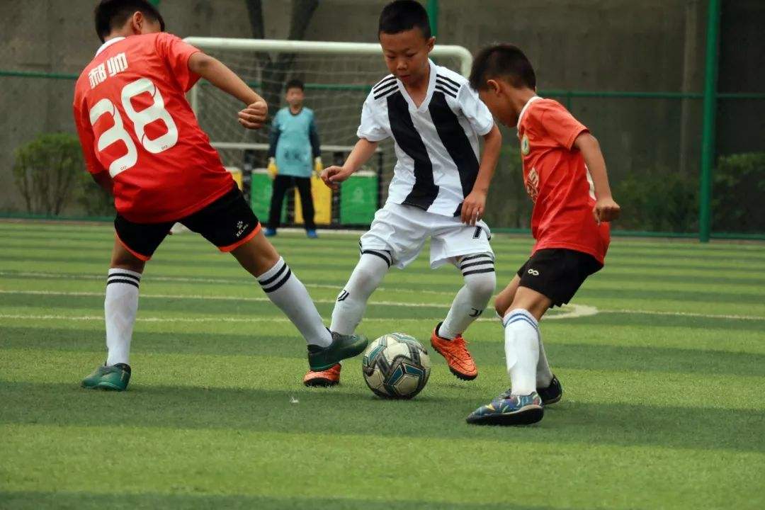 爱游戏ayx体育登录