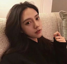 澳门天天免费资料大全下载