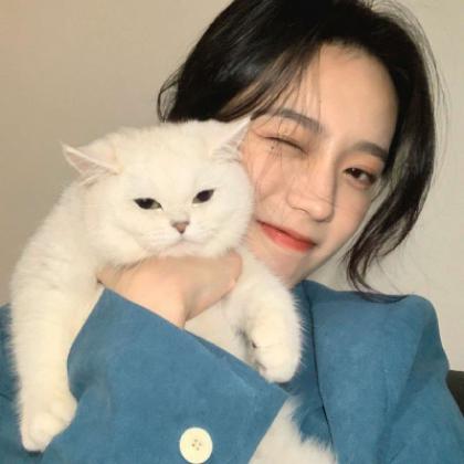 港澳宝典手机app下载