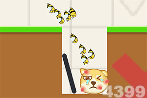 半岛综合娱乐app