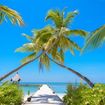 Kaiyun体育官方入口