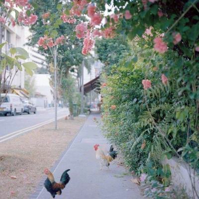 澳门威斯尼斯WNS888入口下载手机版