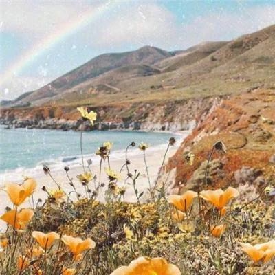 B体育·(sports)官方网站