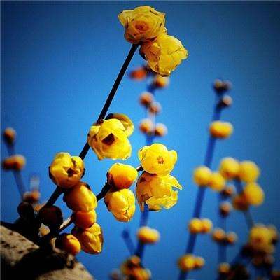 pg电子·模拟器(试玩游戏)