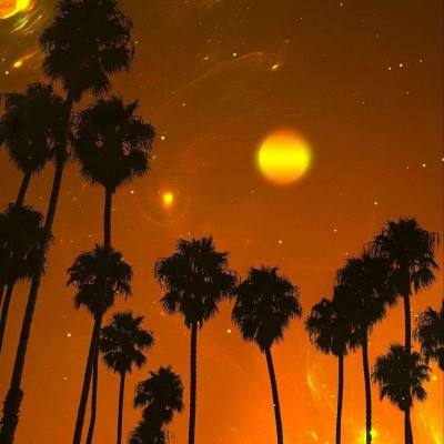 网易彩票最新版下载app