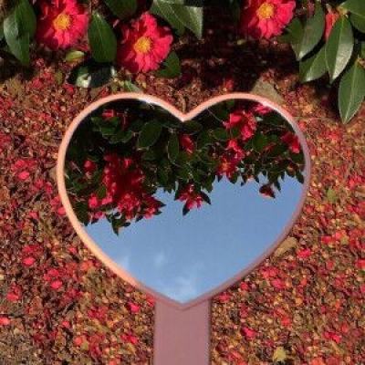 澳门天天免费资料大全下载