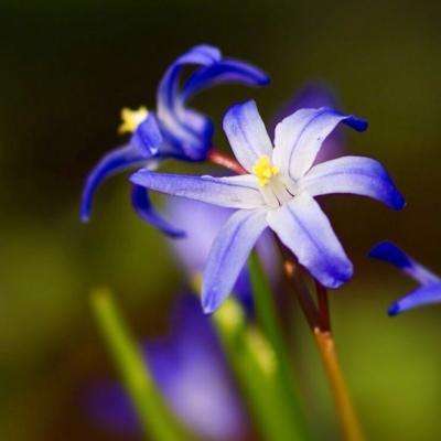 目前国家允许的购彩平台