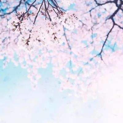 大发彩票下载手机版