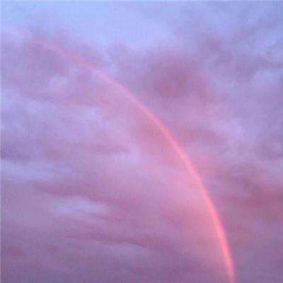 网易彩票最新版下载app