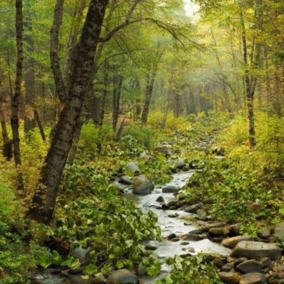 万博体育全站ManBetX