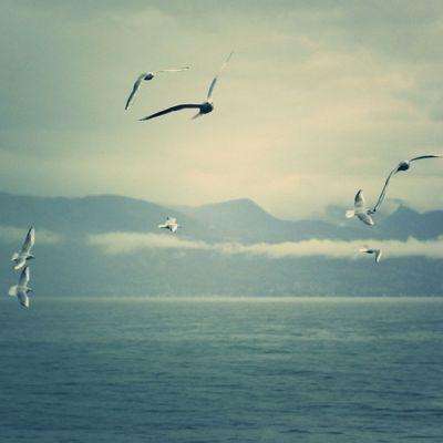 真人斗牛牛最新版app下载截图