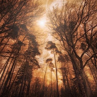 半岛官网入口网页版下载手机版