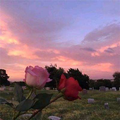 江南体育app下载方式最新