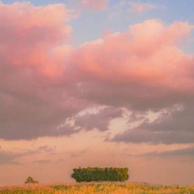 帝一娱乐app下载