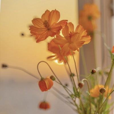 永盈会下载手机版