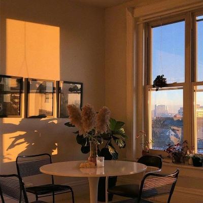 贝博app体育下载安装8499