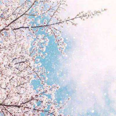 丰禾棋牌下载手机版