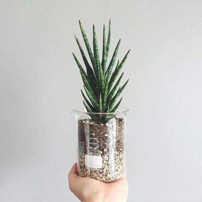 betway88必威东盟体育