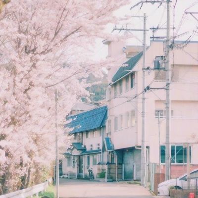 pk10赛车手机app下载