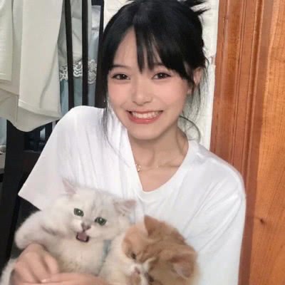 星空线上官网下载手机版