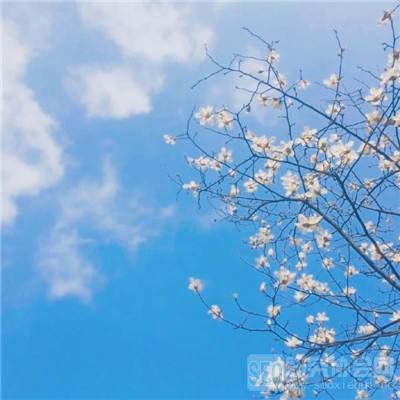 银河国际官网app下载手机app下载