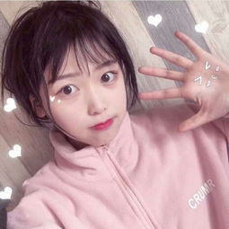 BOB·体育APP下载