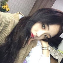 乐鱼APP下载手机版