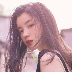 加拿大pc入口手机app下载