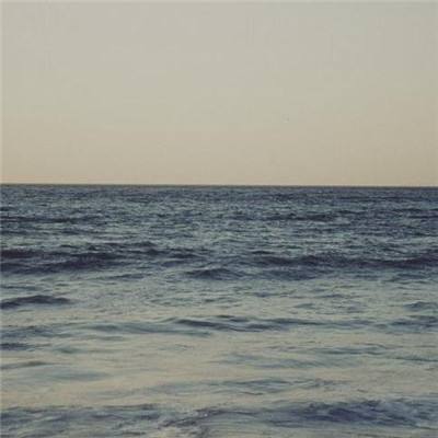 华体会登录手机版下载手机版