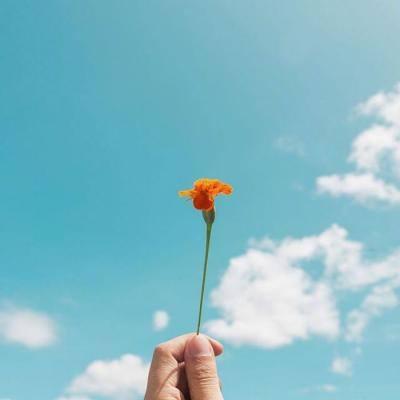 威斯尼斯wns888入口官方版下载