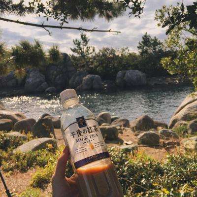 球王会体育app下载