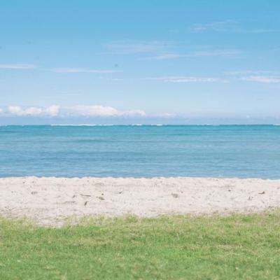 半岛体体育下载