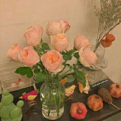 芒果体育app下载