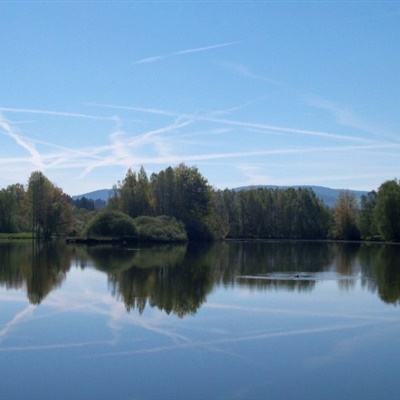 亿博·app官方网站