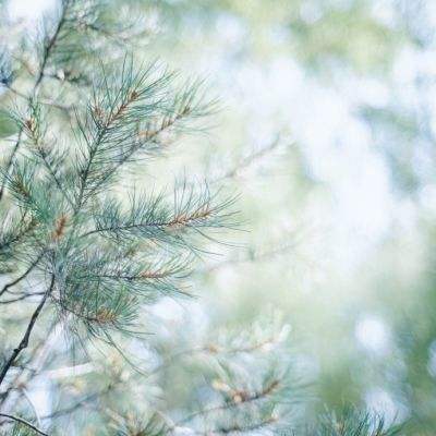 B sport官方下载入口