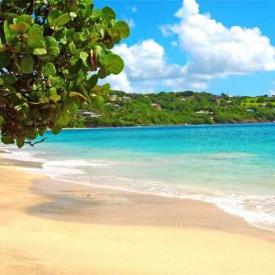 博雅.体育app手机版下载