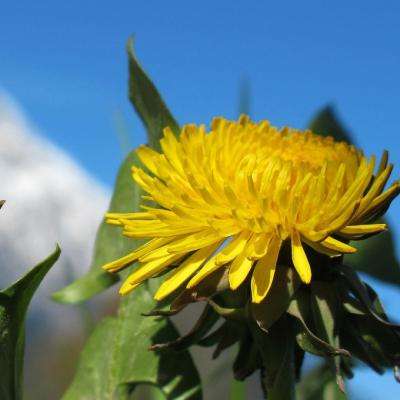 b体育官方app下载手机app下载