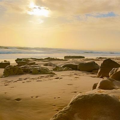 天博tb综合体育官方app下载