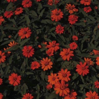 万博体育全站ManBetX