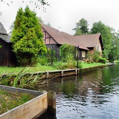 三公牛牛游戏app