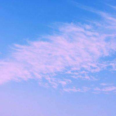 云开平台app最新版手机app下载