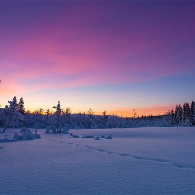 爱游戏全站APP入口苹果版app下载