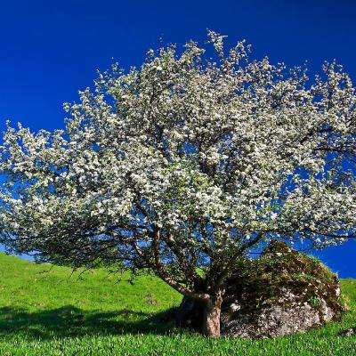 斗牛棋牌手机app下载