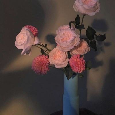 365平台下载手机版