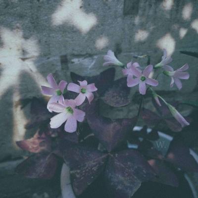 贝博bb平台体育全站版