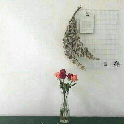 必博app下载地址