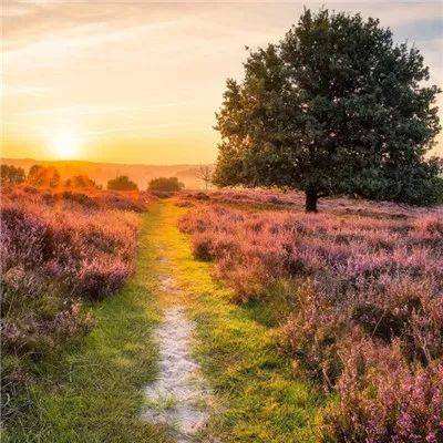 助赢软件app手机app下载