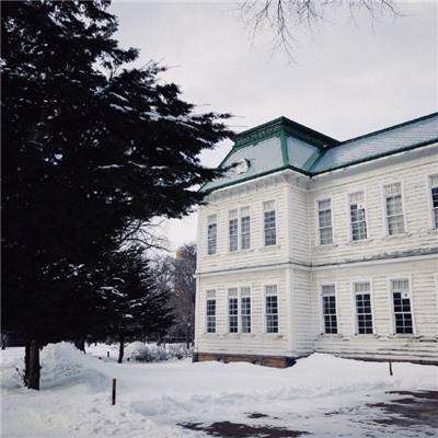 足球游戏app下载