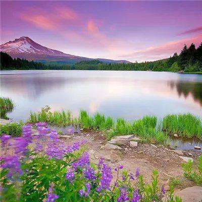 利澳平台注册开户