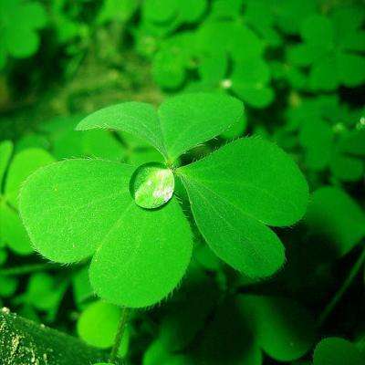 爱游戏全站app下载